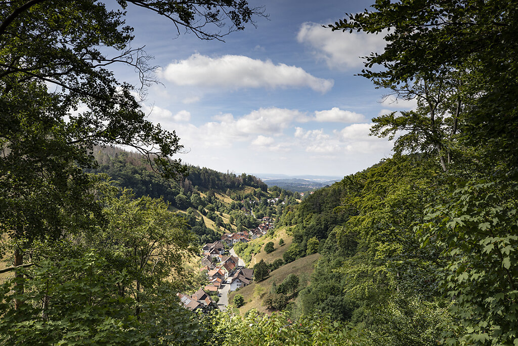 Harz-web.jpg